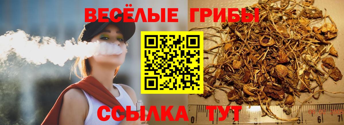 Галлюциногенные грибы MAGIC MUSHROOMS Томск