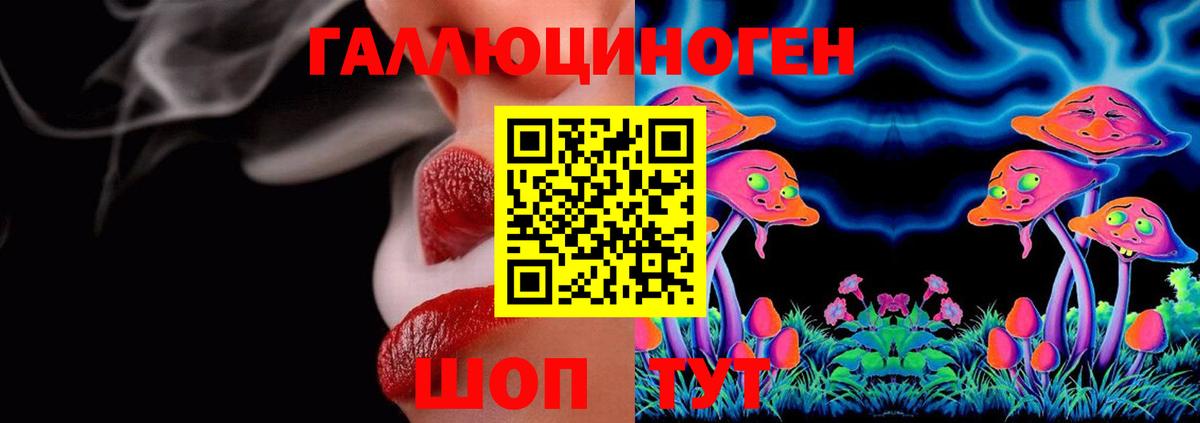 наркота  Вход с VPN  Томск  Псилоцибиновые грибы Psilocybine cubensis 